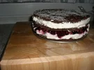 Waldfrucht KakaoBiskuit-Torte - Rezept