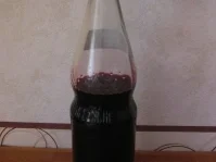 Holundersaft - Rezept