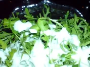 süßes Zitronendressing - Rezept