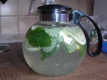 Rezept: frischer Zitronenmelissetrunk frischer Zitronenmelissetrunk - Rezept