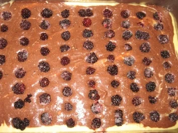 Rezept: Mascarpone-Brombeer Schnitte Mascarpone-Brombeer Schnitte - Rezept