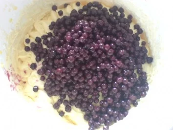 Rezept: Heidelbeer-Joghurt-Gugelhupf Bild Nr. 10 Heidelbeer-Joghurt-Gugelhupf - Rezept - Bild Nr. 10