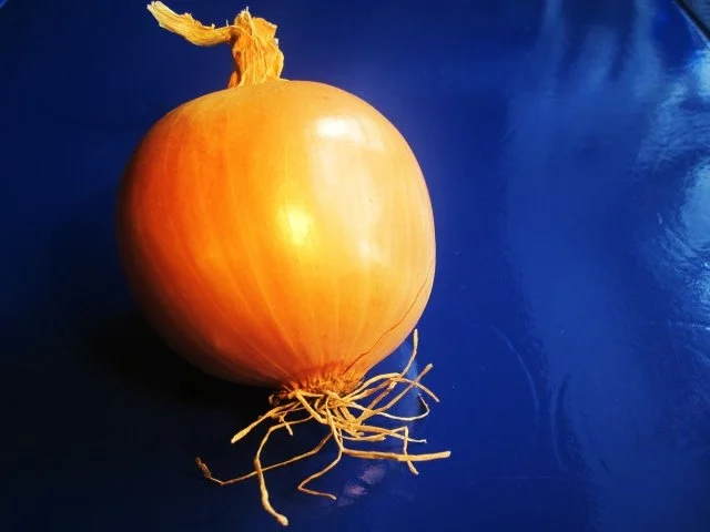 Weißweinsoße ... - Rezept - Bild Nr. 2