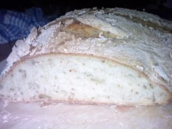 Paprika-Olivenbrot - Rezept