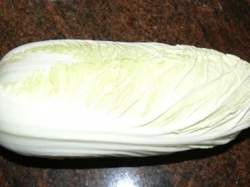 Rezept: herzhafter Chinakohlsalat herzhafter Chinakohlsalat - Rezept