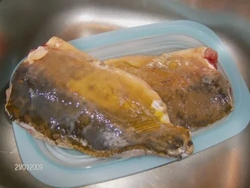 Karpfen - gebacken - Rezept - Bild Nr. 2