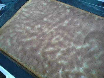 Schneekuchen - Rezept - Bild Nr. 14