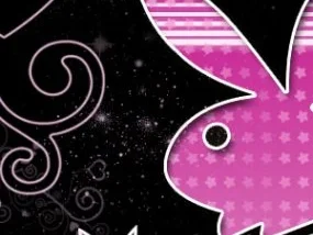 Rezept: Fruchtige Curry-Rahm-Suppe Bild Nr. 2 Fruchtige Curry-Rahm-Suppe - Rezept - Bild Nr. 2