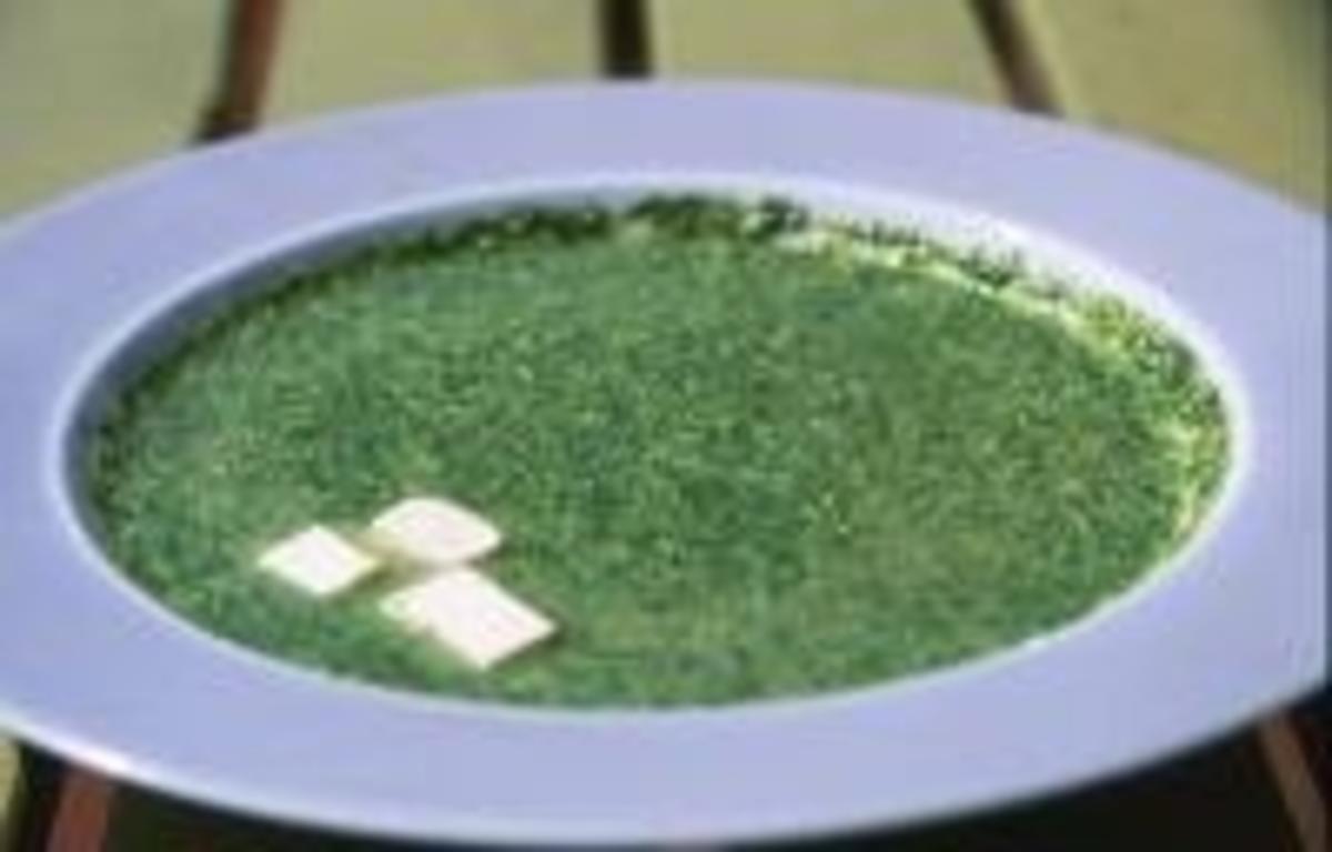 Wildkräuter: Brennesselcremesuppe mit Tofu - Rezept