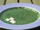 Wildkräuter: Brennesselcremesuppe mit Tofu - Rezept