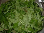 Gemüse: Brennessel Gemüse/Brennessel Spinat - Rezept