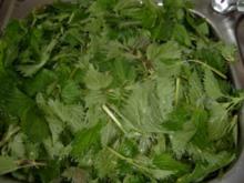Gemüse: Brennessel Gemüse/Brennessel Spinat - Rezept