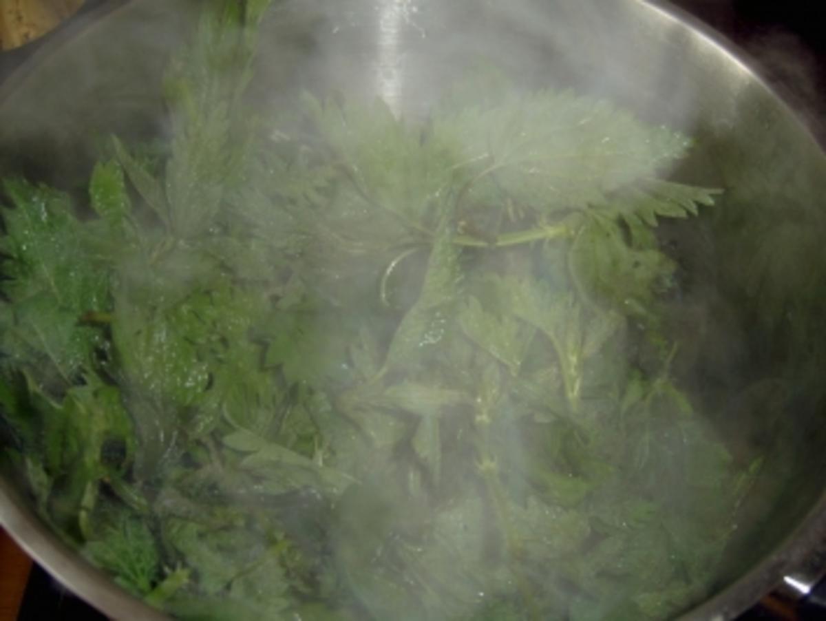 Gemüse: Brennessel Gemüse/Brennessel Spinat - Rezept - Bild Nr. 2