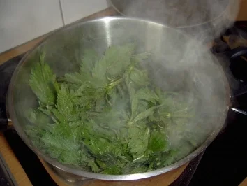 Gemüse: Brennessel Gemüse/Brennessel Spinat - Rezept - Bild Nr. 3