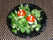 Fliegenpilz im Wald - Rezept