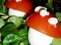 Fliegenpilz im Wald - Rezept