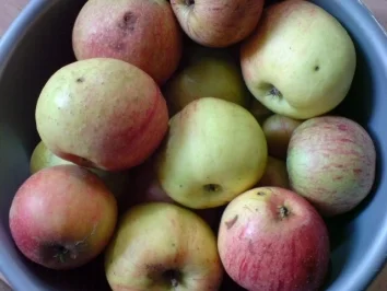 Apfelkuchen mit Gelee-Guß - Rezept - Bild Nr. 4