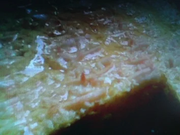 Apfelkuchen mit Gelee-Guß - Rezept - Bild Nr. 12