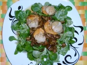 Jacobsmuscheln auf Pfifferlingssalat - Rezept