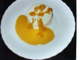 Rezept: Kokos-Vanille-Mousse auf Aprikosenmark Kokos-Vanille-Mousse auf Aprikosenmark - Rezept