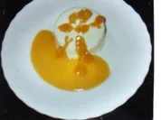 Kokos-Vanille-Mousse auf Aprikosenmark - Rezept