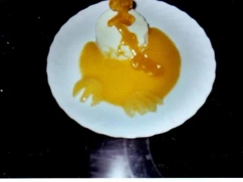 Rezept: Kokos-Vanille-Mousse auf Aprikosenmark Bild Nr. 2 Kokos-Vanille-Mousse auf Aprikosenmark - Rezept - Bild Nr. 2