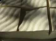 Junger Käse - Rezept