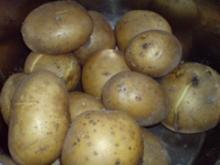 Brockkartoffeln - Rezept