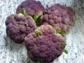 Rezept: Fleischklößchen mit Salzkartoffeln und roten Blumenkohl Fleischklößchen mit Salzkartoffeln und roten Blumenkohl - Rezept