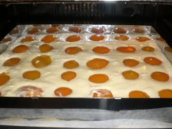 Käsekuchen mit Aprikosen und Streuseln - Rezept