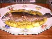 Rezept: Gebratene Kräuterforelle Gebratene Kräuterforelle - Rezept