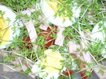 Kressesalat - Rezept - Bild Nr. 12