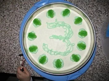 Froschtorte - Rezept - Bild Nr. 3