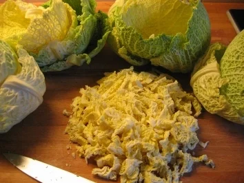 Rezept: Wirsingröllchen mit Tomaten Wirsingröllchen mit Tomaten - Rezept