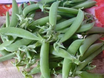 Rezept: Schneller Gemüsesalat Bild Nr. 3 Schneller Gemüsesalat - Rezept - Bild Nr. 3