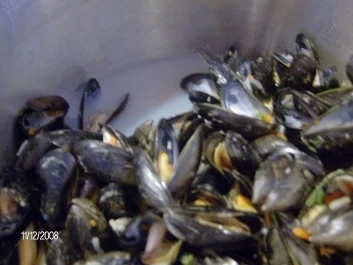 Spanien - Miesmuscheln im bunten Kleid - Rezept - Bild Nr. 2