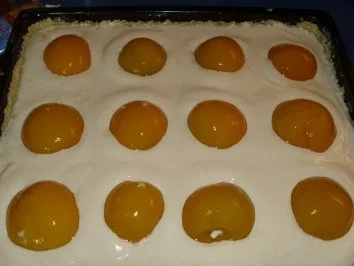 Rezept: 'Spiegeleikuchen' à la Anne Bild Nr. 6 'Spiegeleikuchen' à la Anne - Rezept - Bild Nr. 6