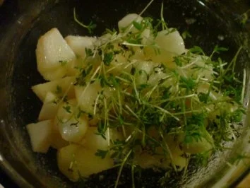 Apfelsalat mit Gartenkresse - Rezept - Bild Nr. 5