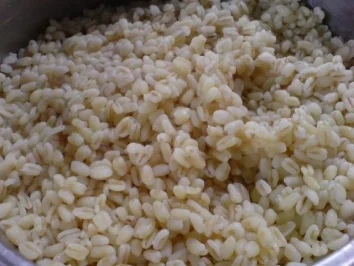 Rezept: Steppenlendchen Bild Nr. 15 Steppenlendchen - Rezept - Bild Nr. 15