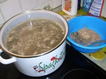 Rezept: Fadennudelsuppe mit Paprika und Lauchzwiebel Fadennudelsuppe mit Paprika und Lauchzwiebel - Rezept