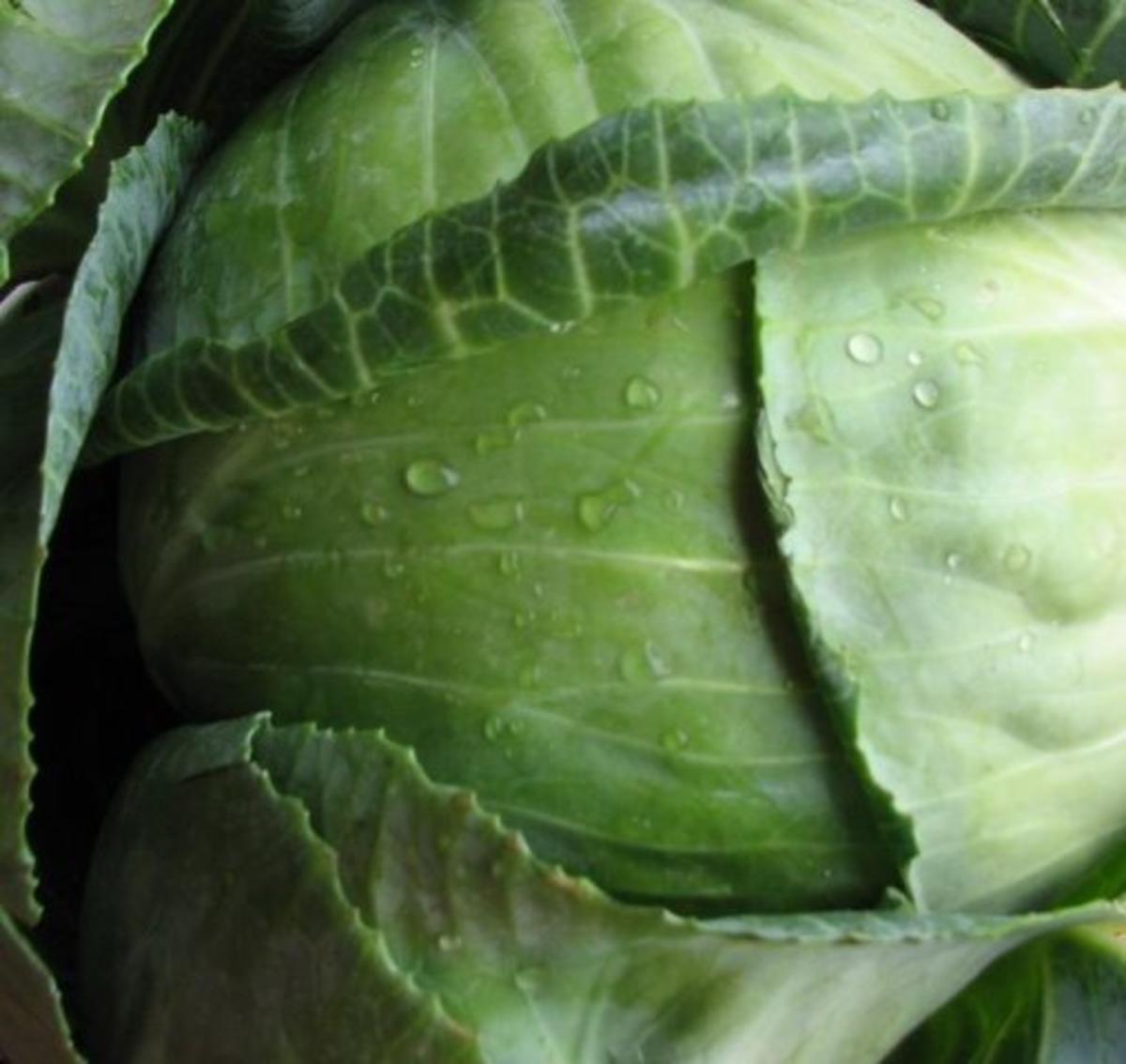 Rostbratwürstchen süß-sauer auf Weißkraut mit Kartoffeln - Rezept ...