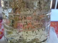 Rezept: Kräuteröl Bild Nr. 7 Kräuteröl - Rezept - Bild Nr. 7