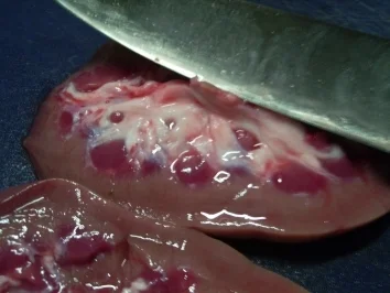 Nieren mediterran - Rezept