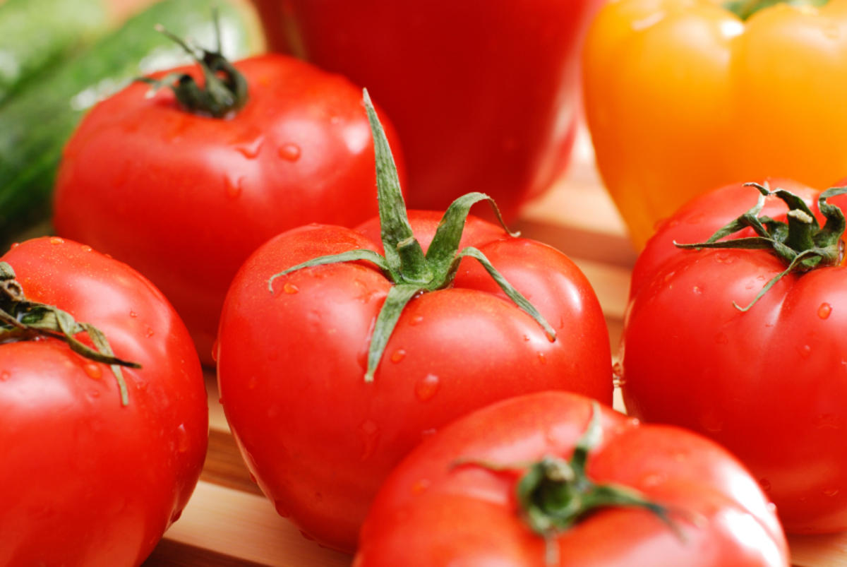 Tomaten Richtig Saen Tipp Mit Bild Kochbar De