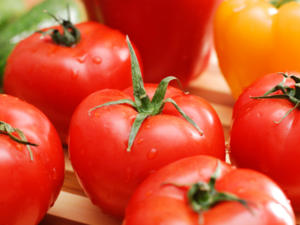 Tomaten richtig säen - Tip