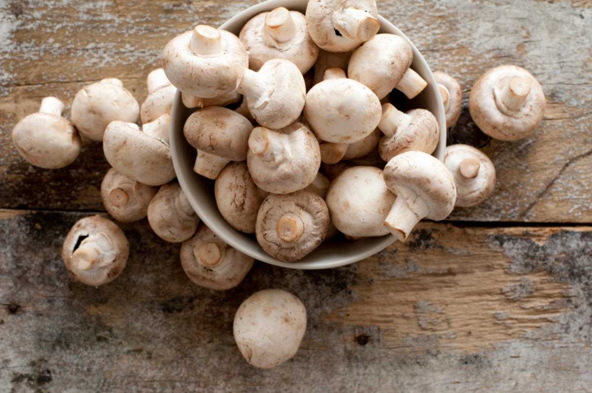 Champignons putzen besser ohne Wasser Tipp kochbar.de