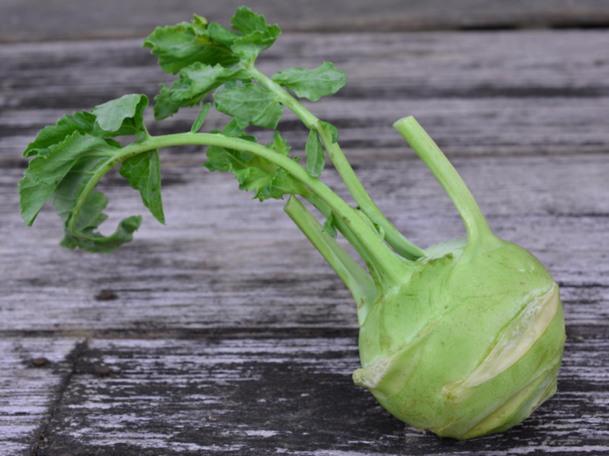 Kohlrabi eine leckere und gesunde Knolle Tipp kochbar.de