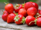 Erdbeeren pflanzen ist nicht schwer - Tip