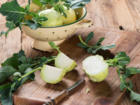 Kohlrabi pflanzen - die zarten Knollen im eigenen Garten anbauen - Tip