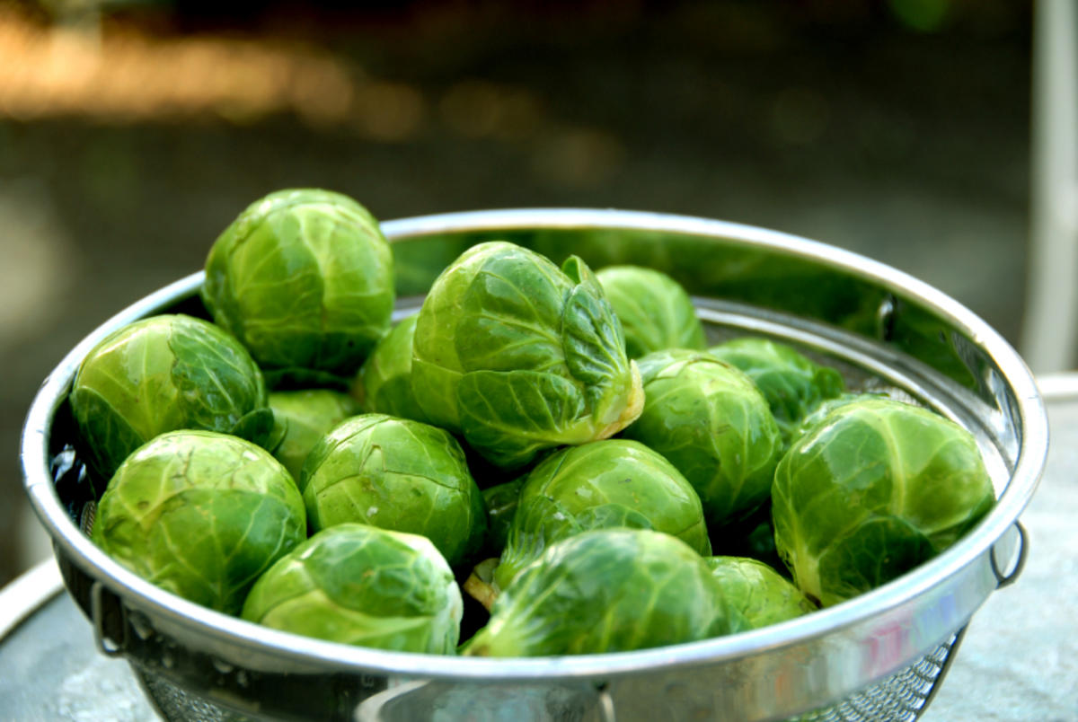 Rosenkohl einfrieren ist kein Problem Tipp kochbar.de